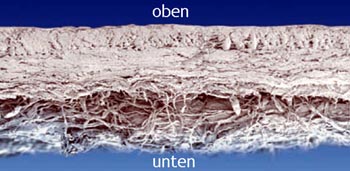 Kollagenmatrix (Bilayer)